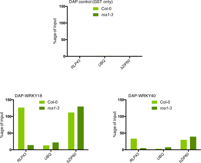 Figure 5—figure supplement 1.