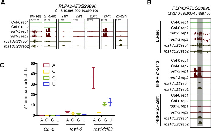 Figure 3—figure supplement 3.