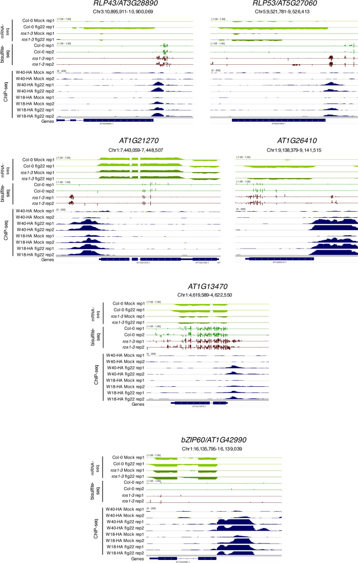 Figure 4—figure supplement 5.