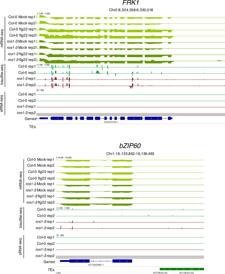 Figure 2—figure supplement 2.