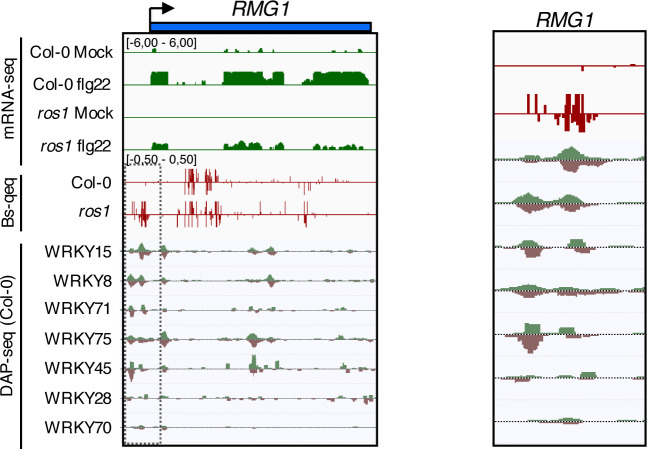 Figure 4—figure supplement 3.