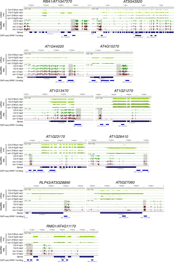 Figure 4—figure supplement 4.