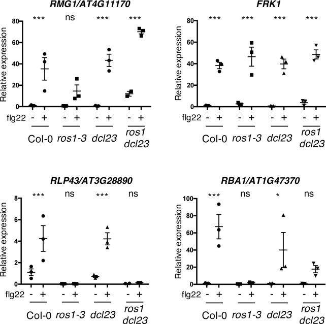 Figure 2—figure supplement 3.