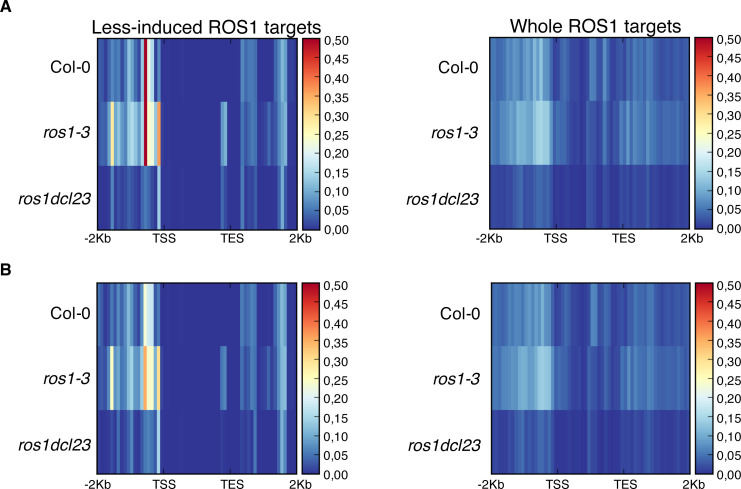 Figure 3—figure supplement 2.