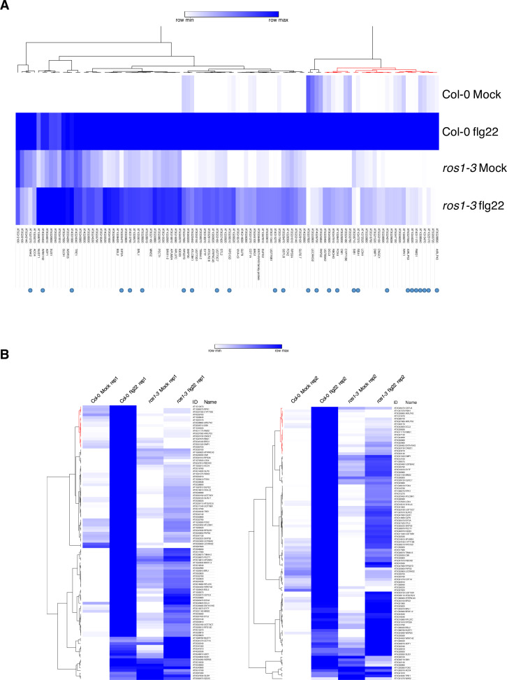 Figure 3—figure supplement 1.