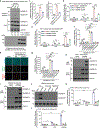 Extended Data Fig. 4 |