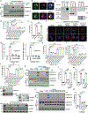 Extended Data Fig. 10 |