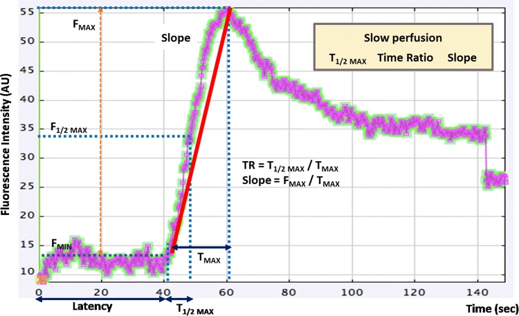 Fig. 2