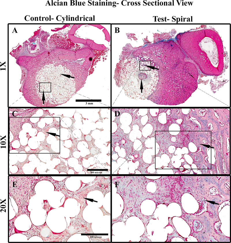 Figure 9.