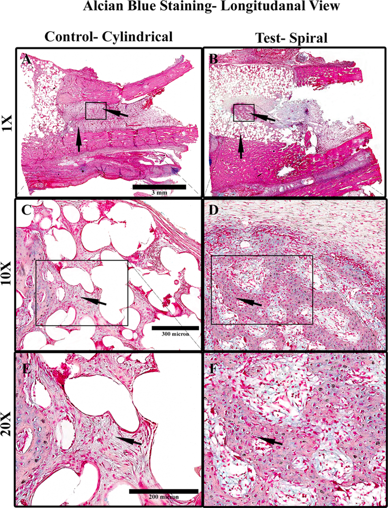 Figure 10.