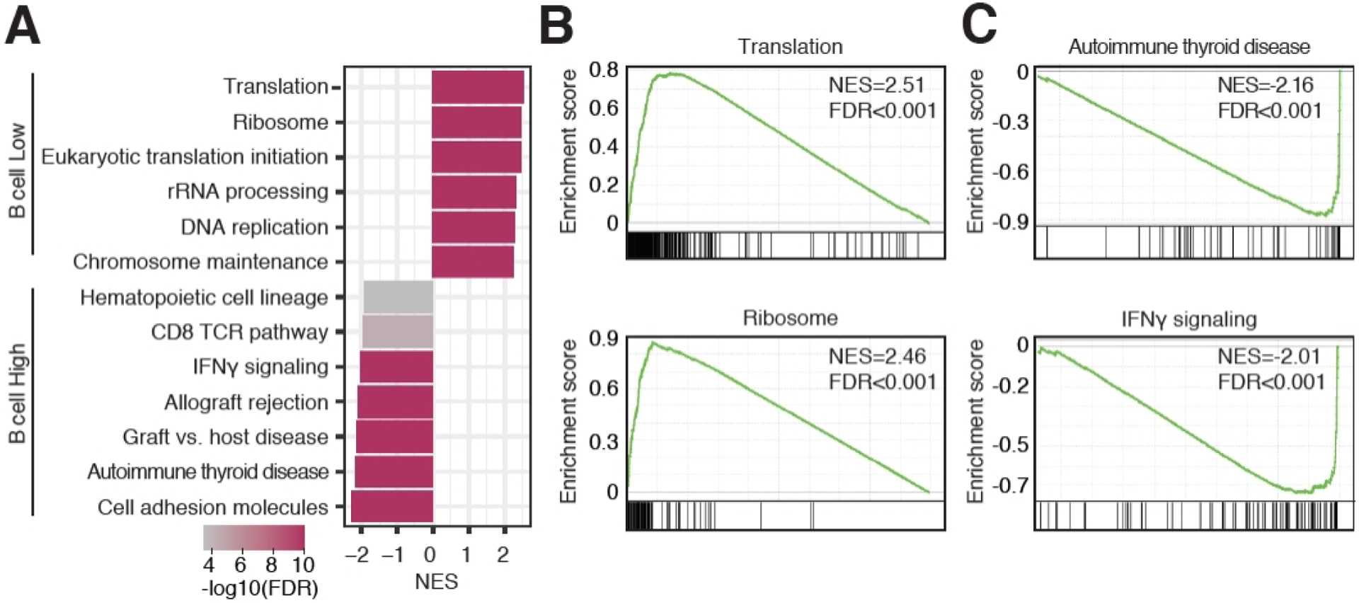 Figure 5.