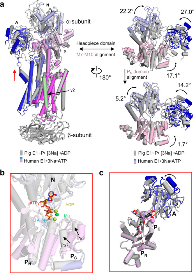 Fig. 4