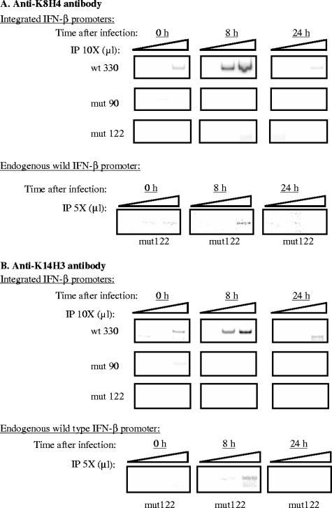 FIG. 7.