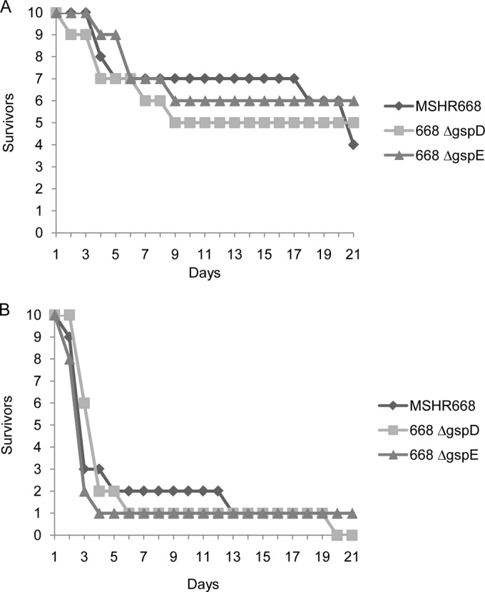 FIG 6