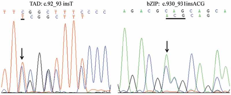 Figure 3.