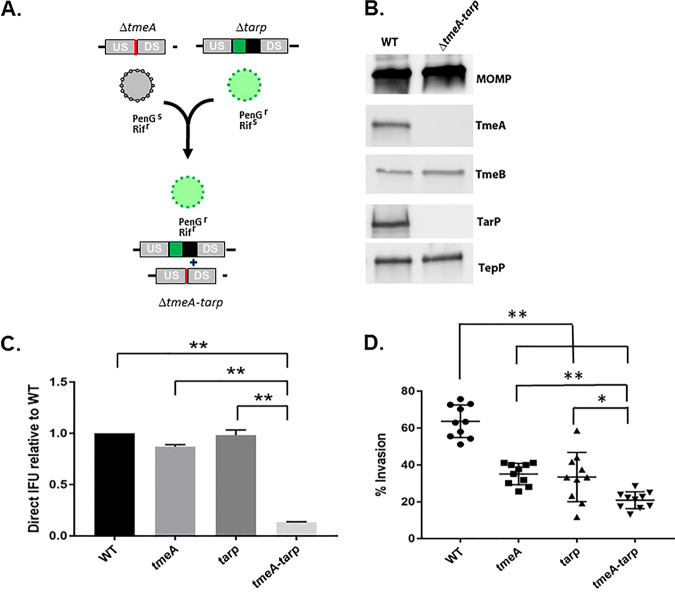 FIG 1