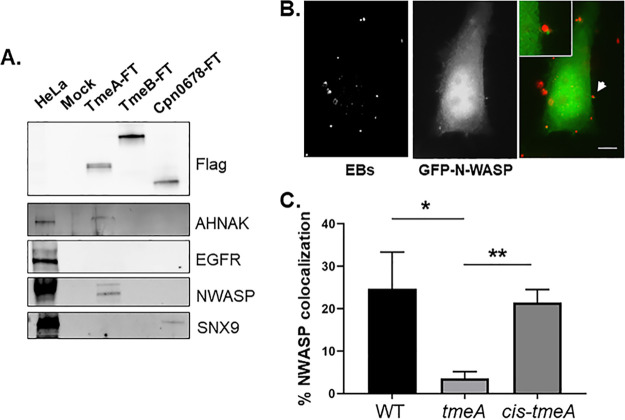 FIG 3