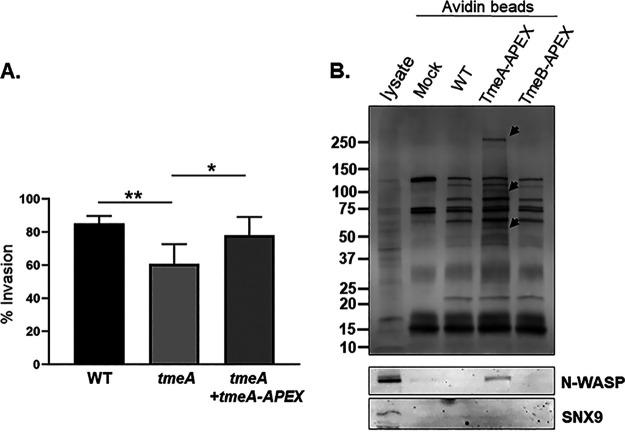 FIG 2