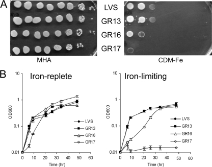 FIG. 1.