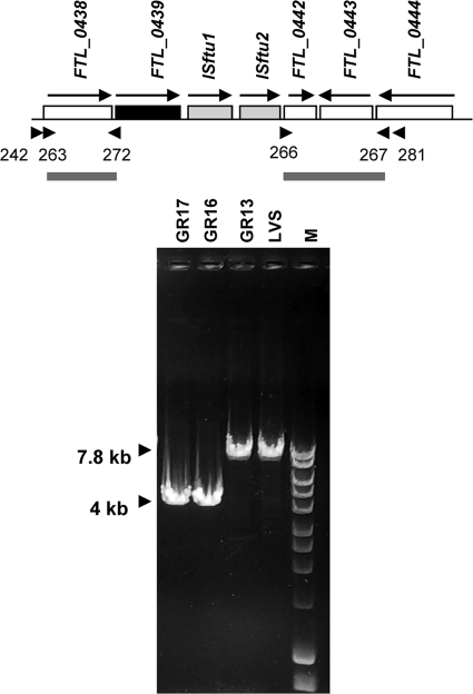 FIG. 4.