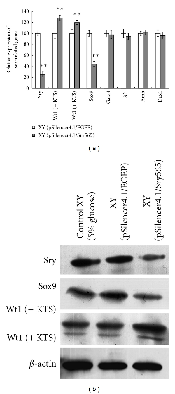 Figure 5