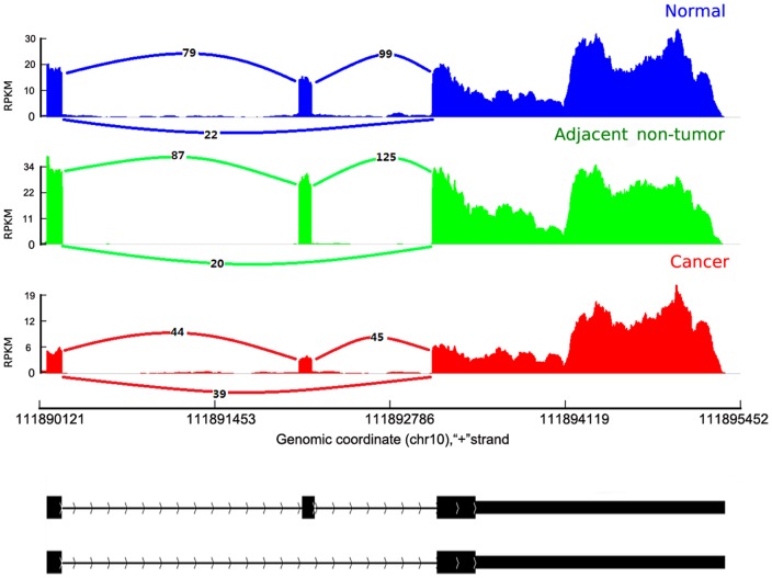 Figure 5