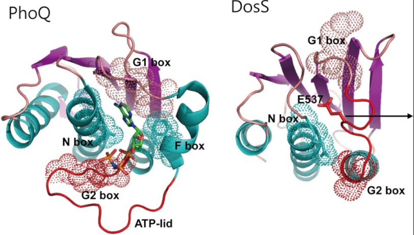 FIGURE 3.