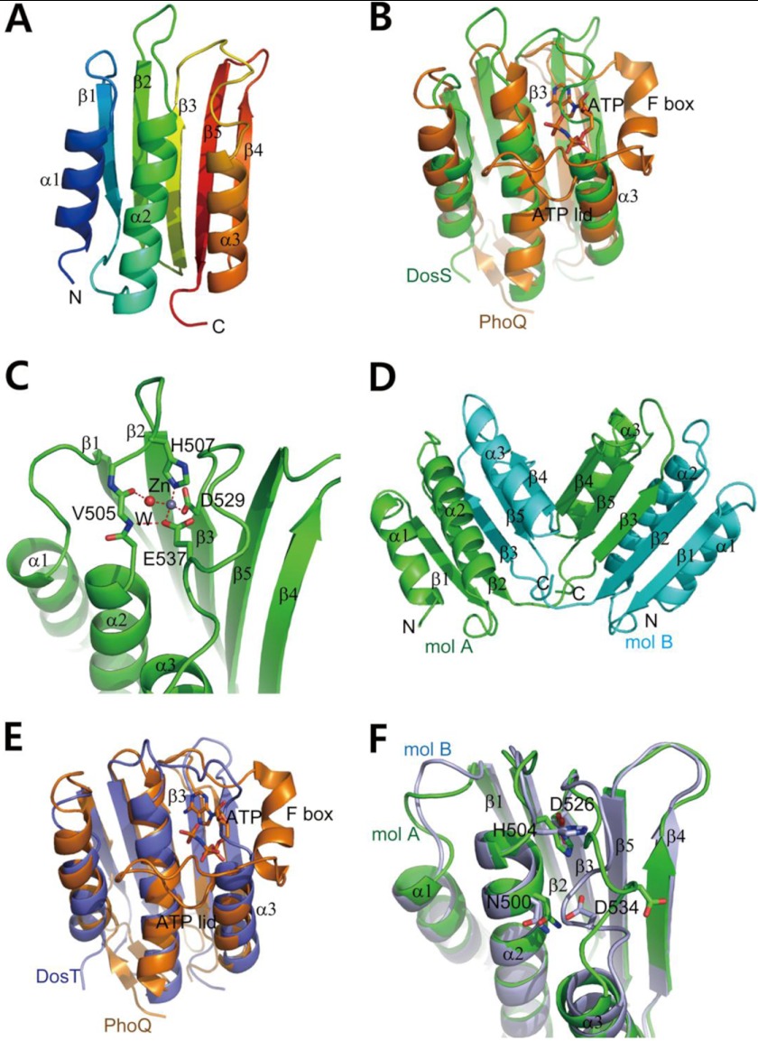 FIGURE 2.