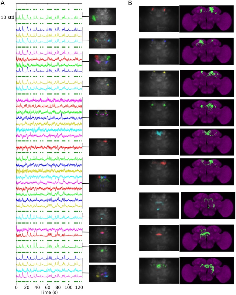 Fig 6