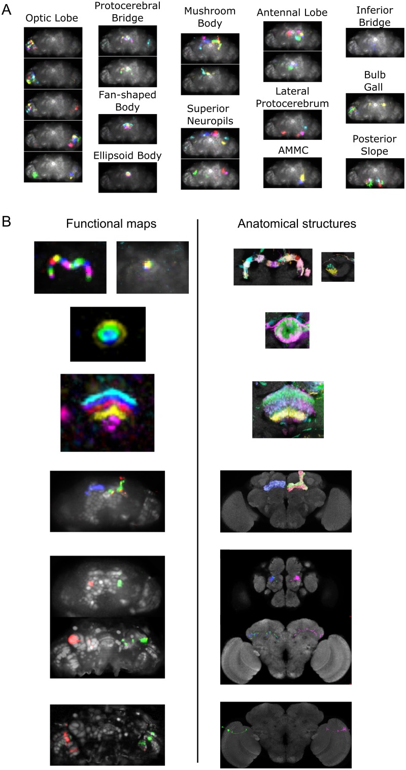 Fig 4