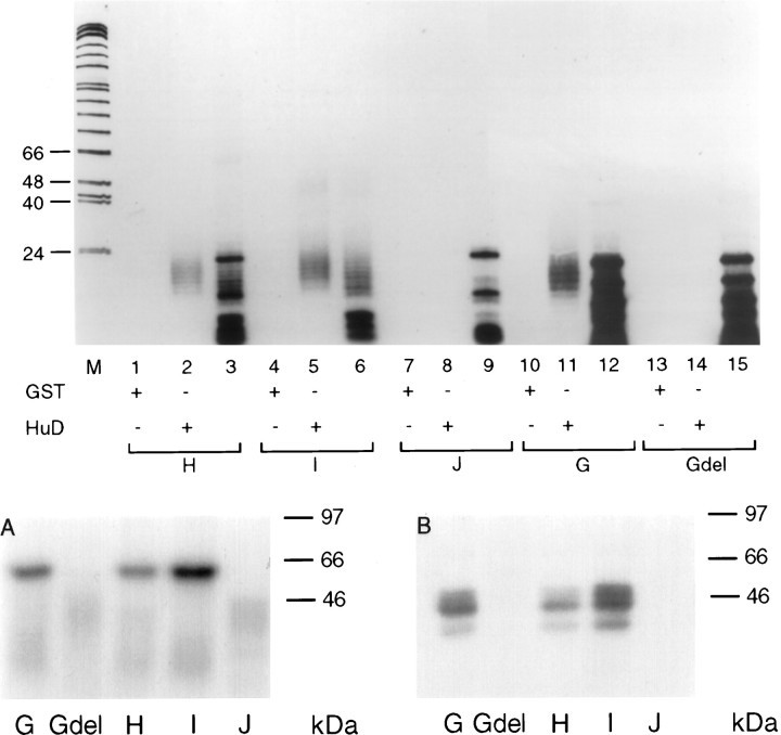 Fig. 10.