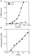 Fig. 9.