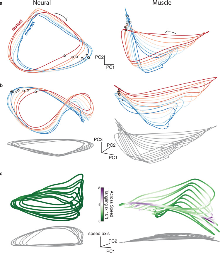 Figure 6—figure supplement 1.