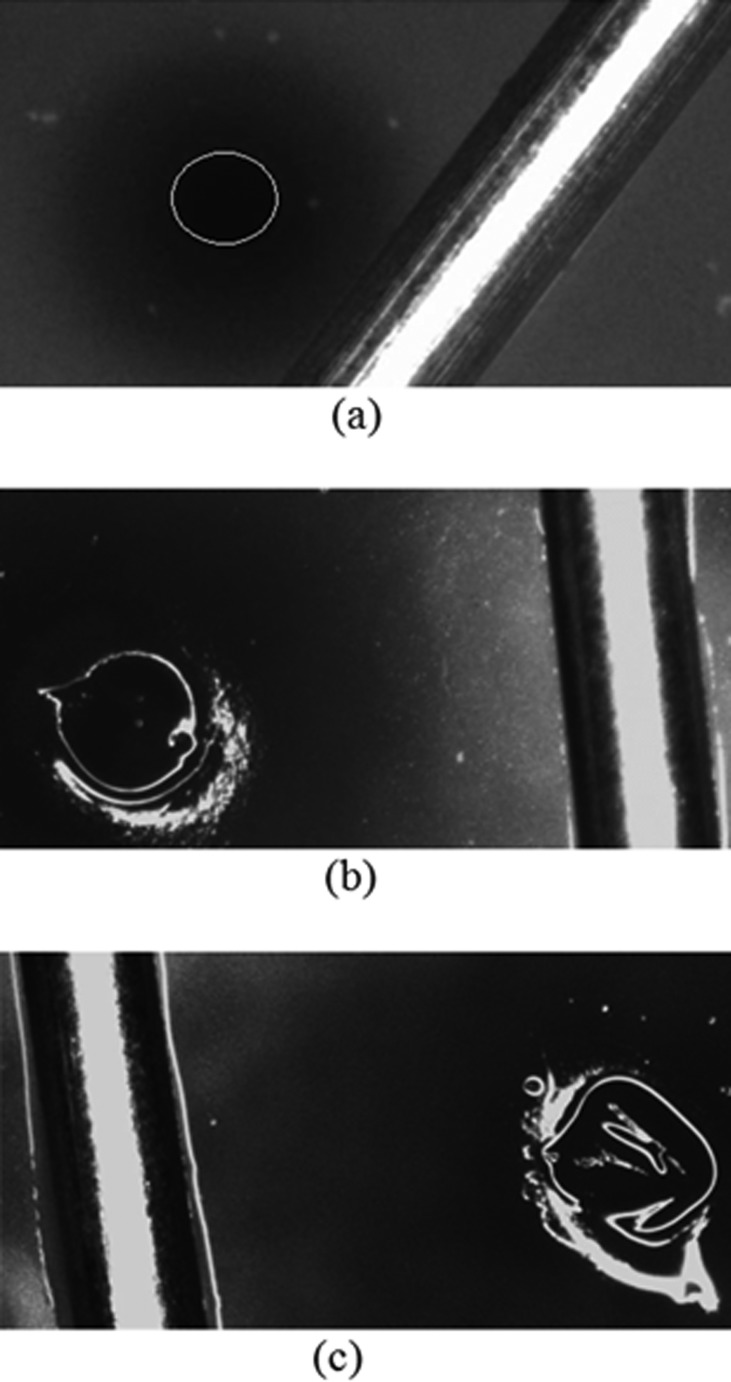 Fig. 9