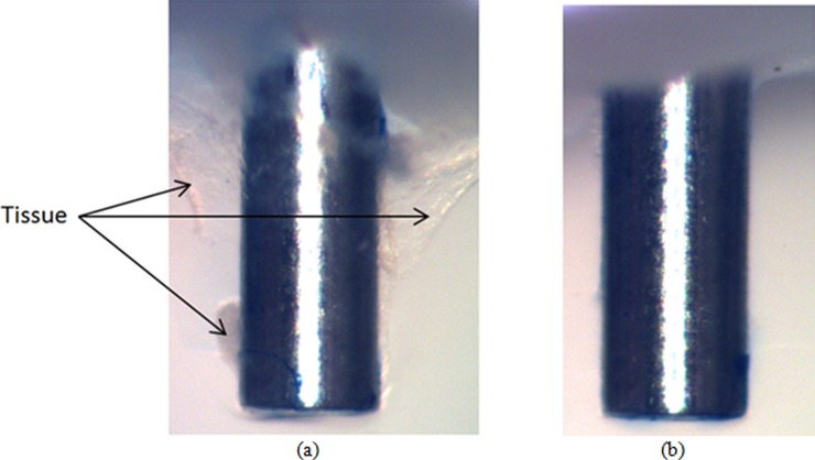 Fig. 8