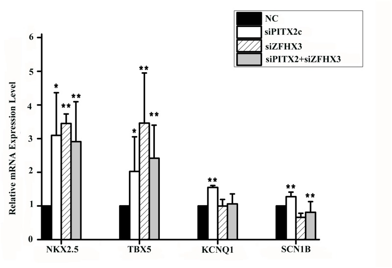 Fig 6