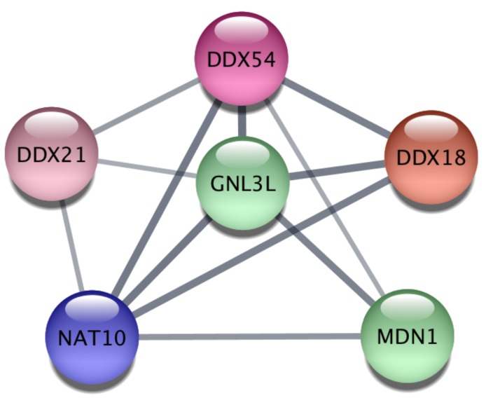 Figure 5