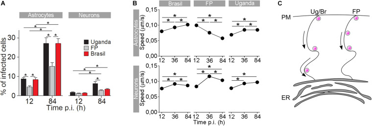 FIGURE 3