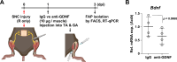 Figure 5—figure supplement 2.