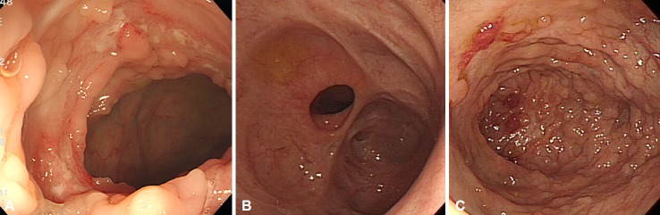 Fig. 3.