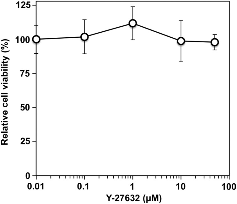 Fig. 5.