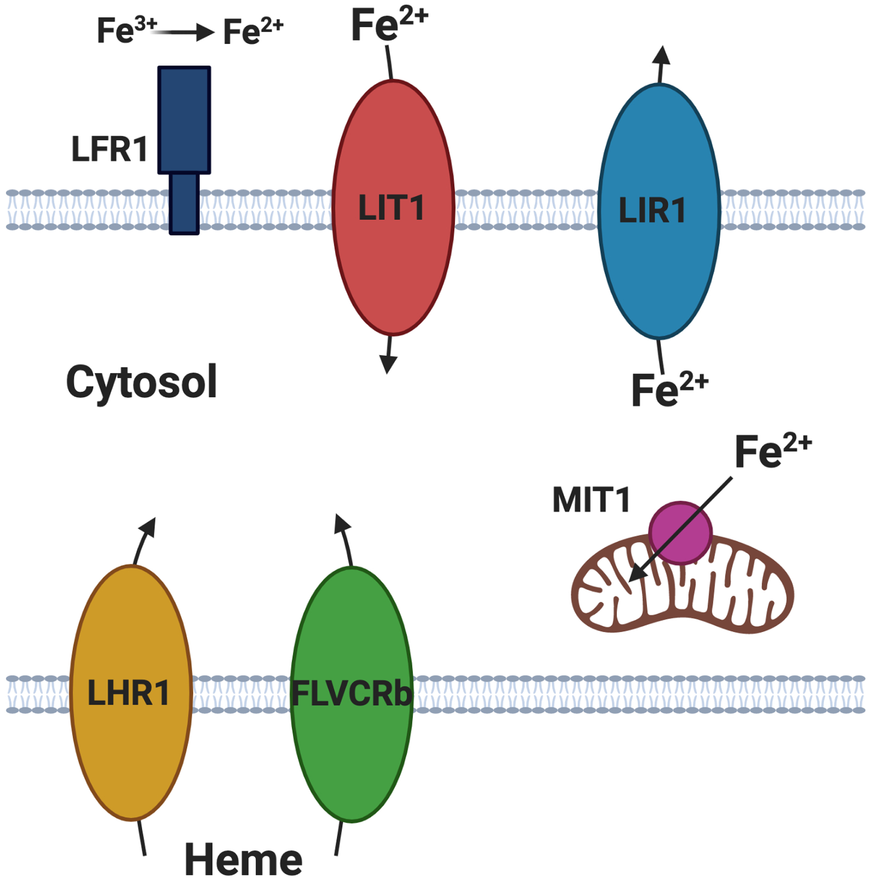 Fig. 3.