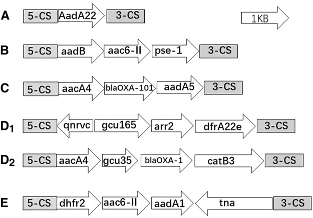 FIG. 1.