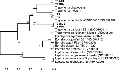 FIG. 4.