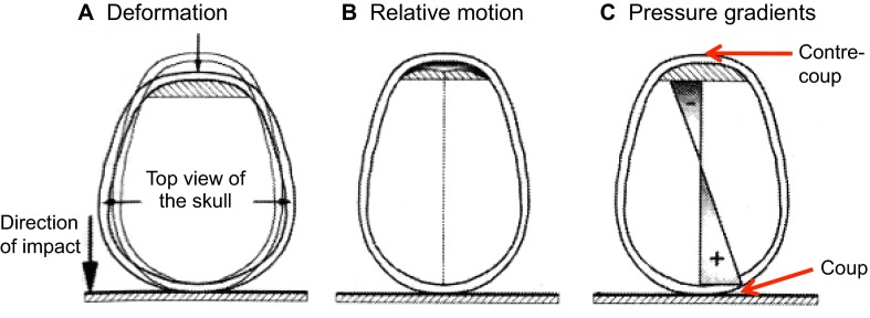 Fig. 1.