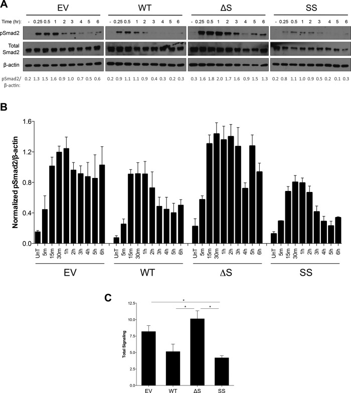 FIGURE 4: