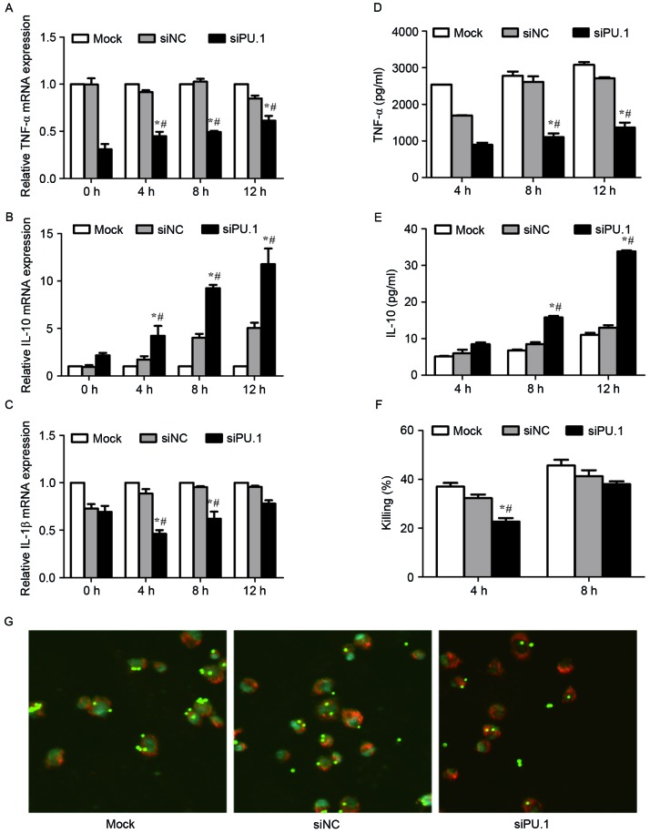 Figure 4.