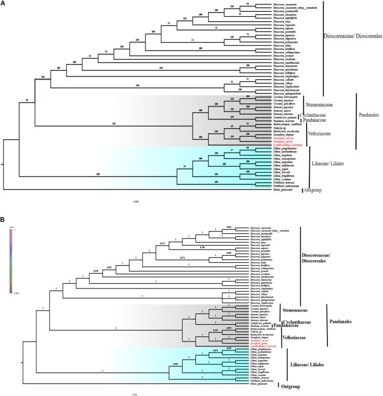 FIGURE 10