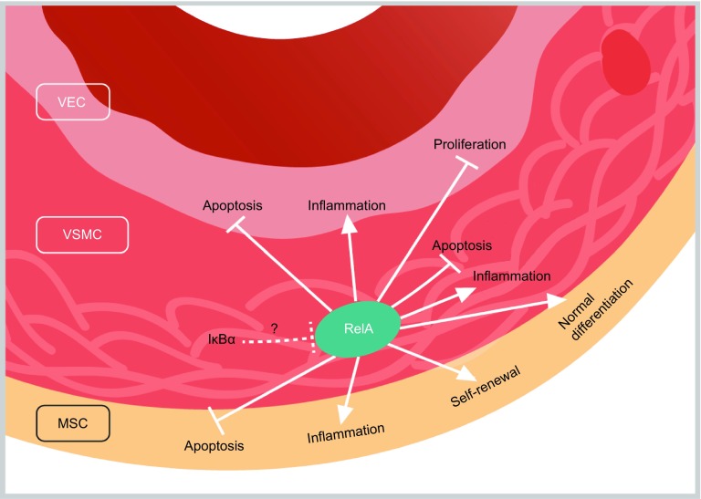 Figure 11