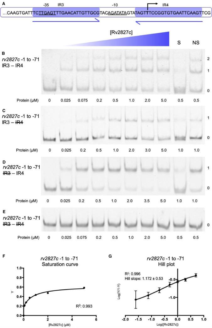 Figure 4.